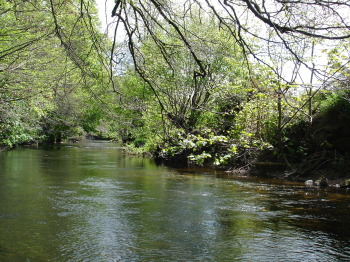 River Teign near Chagford Bridge